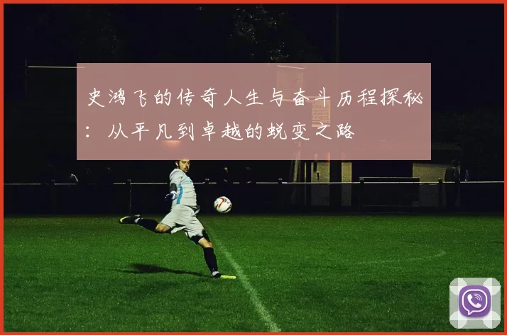 史鸿飞的传奇人生与奋斗历程探秘：从平凡到卓越的蜕变之路