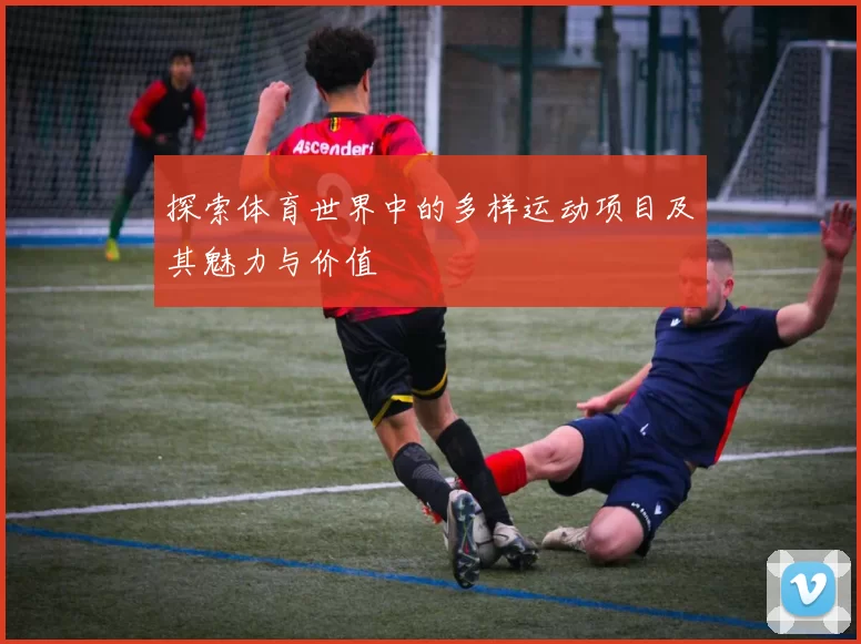 探索体育世界中的多样运动项目及其魅力与价值